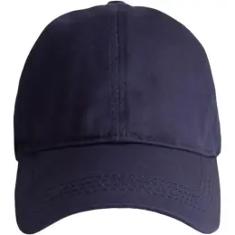 FWRD Putter Cap Navy Front